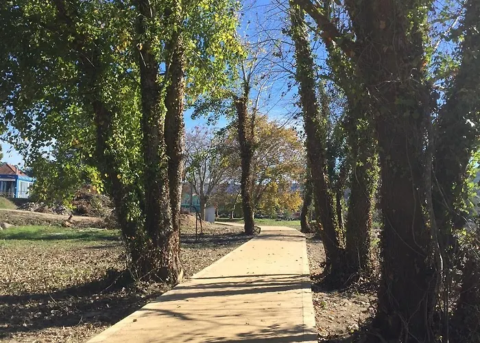 酒店 San Luis 维拉波